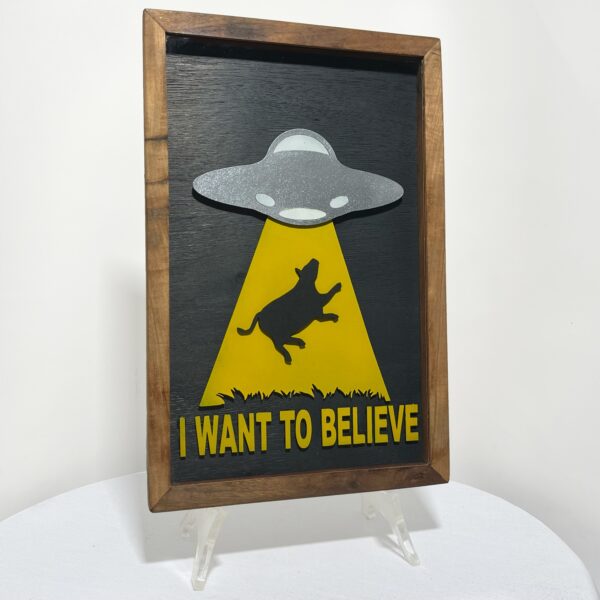 Quadro I Want To Believe - Brilha No Escuro - Hoover 3D Artesanal