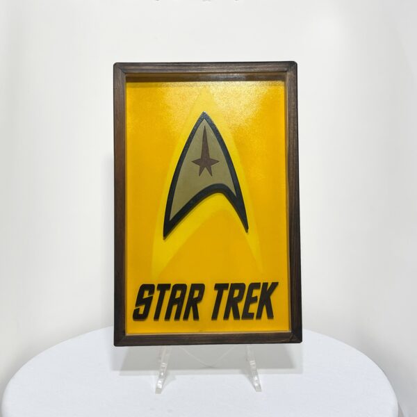 Quadro Star Trek - Brilha No Escuro  - Hoover 3D Artesanal
